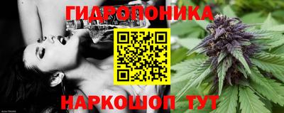 твердый Новозыбков